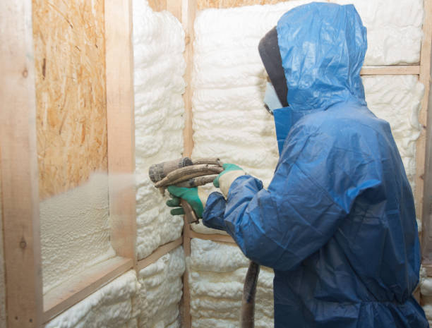 Best Blown-In Insulation  in Ainaloa, HI